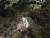 DJI 0024